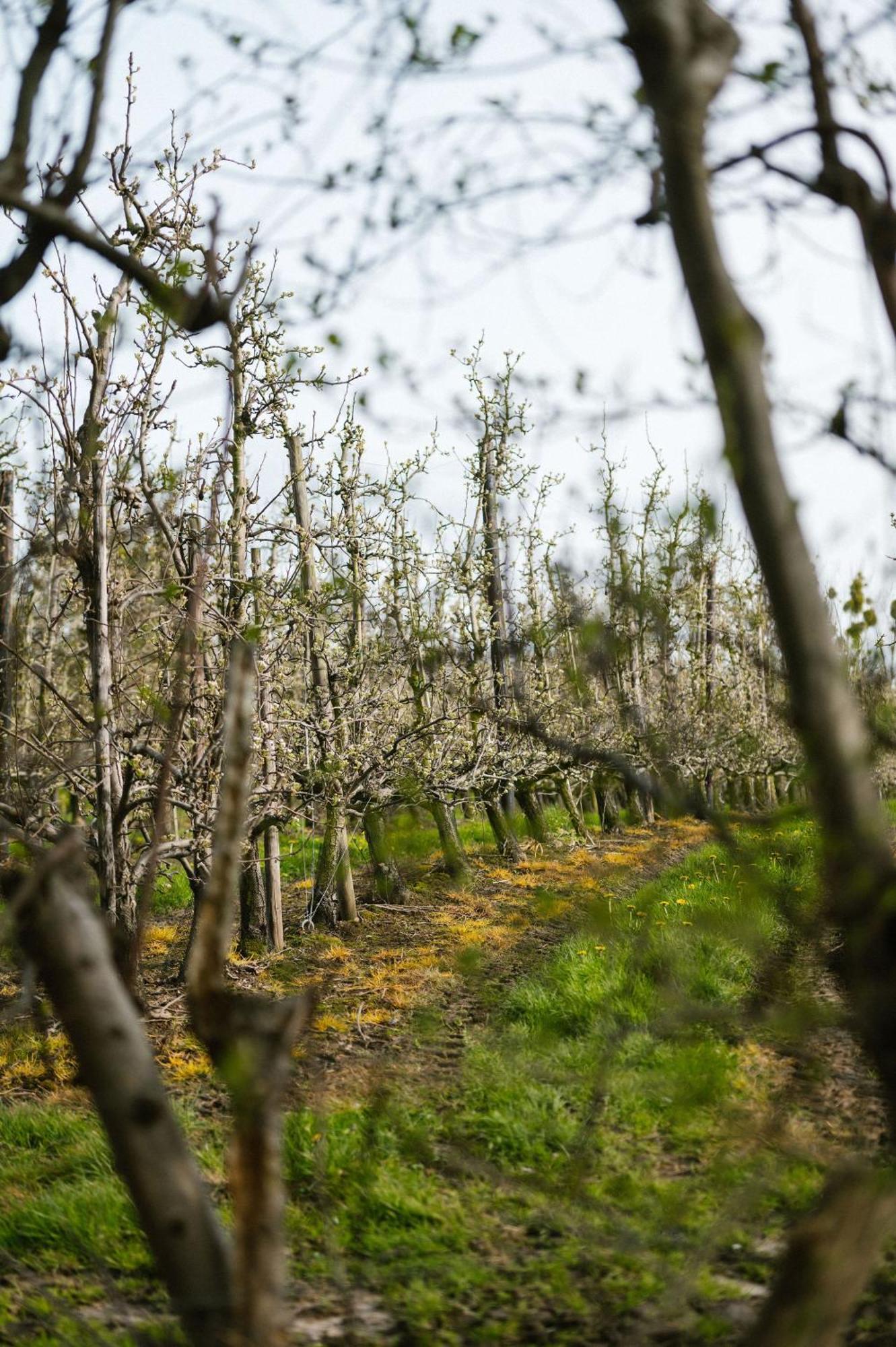 Hoeve De Reetjens - La Porcherie บิลเซน ภายนอก รูปภาพ
